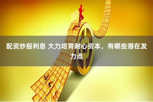 配资炒股利息 大力培育耐心资本，有哪些潜在发力点