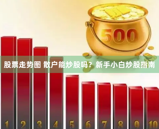 股票走势图 散户能炒股吗？新手小白炒股指南